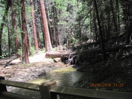5 Day Trip to San francisco, Yosemite national park, San luis obispo, Reno, Sequoia national park from Riverside