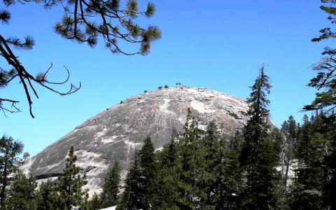 5 Day Trip to Yosemite national park from Wakefield