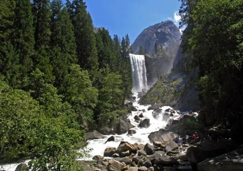 5 days Trip to Yosemite national park from Chicago