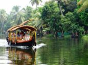 61 Day Trip to Munnar, Alleppey from Hyderabad