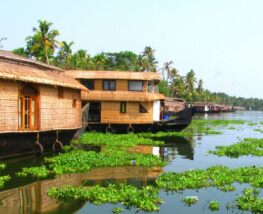 7 Day Trip to Alleppey from Ahmedabad