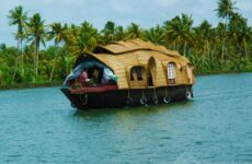 10 Day Trip to Kochi, Munnar, Alleppey, Kovalam, Poovar from Indore
