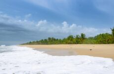 3 days Itinerary to Alleppey from Chennai