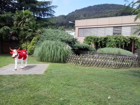 6 days Trip to Lugano from El Dorado Hills