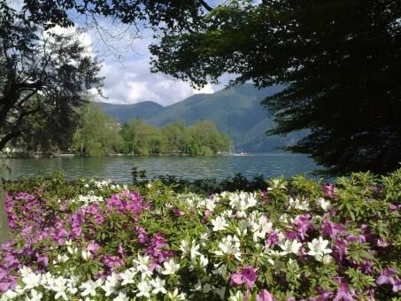 7 days Trip to Lugano, Sierre, Interlaken, Fleurier from Marsens