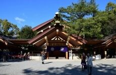 19 Day Trip to Japan A