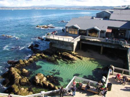 2 days Trip to Monterey from Visalia