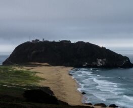  Day Trip to Big sur from Redondo Beach