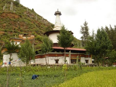 5 Day Trip to Paro from Jubilee Hills