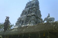  Day Trip to Coimbatore 