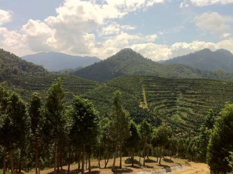 4 Day Trip to Ipoh from Singapore