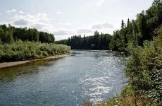 8 Day Trip to Fairbanks, Anchorage, Seward, alaska - fish & game office from Seattle