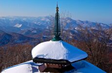 8 Day Trip to Sapporo-shi, Otaru from Bacoor