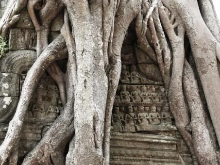 Trip to Siem Reap