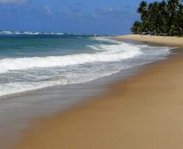 4 Day Trip to Recife from Laguna niguel