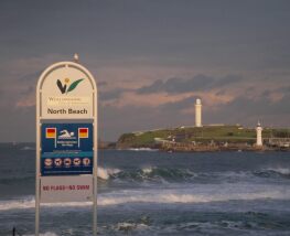 3 Day Trip to Wollongong from Chippendale