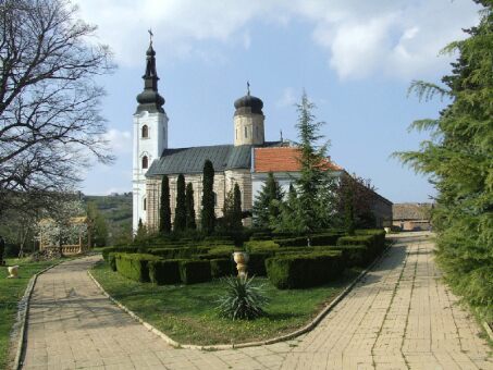  Day Trip to Novi Sad 