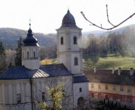 8 Day Trip to Belgrade, Novi sad, Sombor, Subotica from Turin