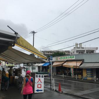 10 Day Trip to Kyoto, Okinawa, Hakodate, Hakone from Mumbai