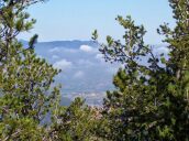6 Day Trip to Colorado springs from Anahuac