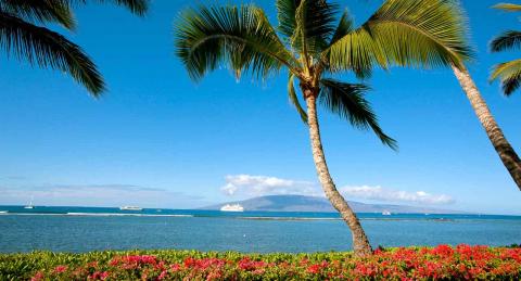 9 Day Trip to Lahaina from Cleveland