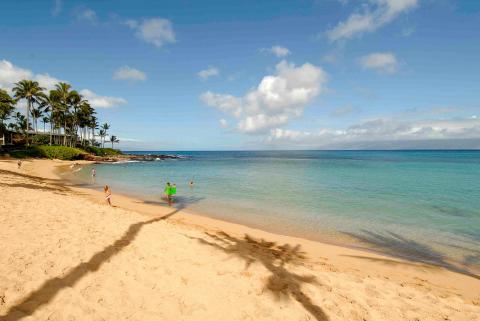 4 Day Trip to Lahaina from Land o' lakes