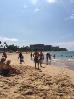 7 Day Trip to Lahaina from Indianapolis