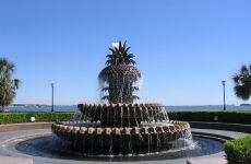 5 Day Trip to Charleston from Saugus