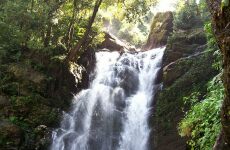 5 days Trip to Chikmagalur from Hyderabad