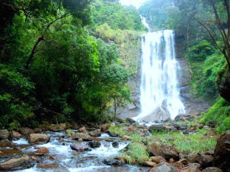  Day Trip to Chikmagalur from Bangalore