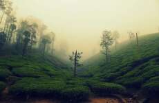 4 days Trip to Chikmagalur from Bangalore