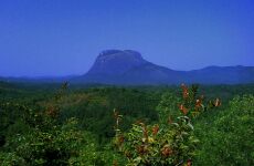 4 Day Trip to Chikmagalur