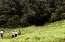 10 Day Trip to Chikmagalur, Gokarn from Bangalore