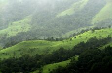 3 Day Trip to Chikmagalur from Bangalore