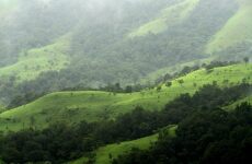 2 days Trip to Chikmagalur from Bangalore