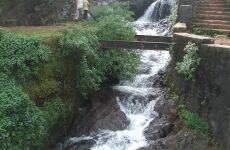 3 Day Trip to Chikmagalur from Bengaluru