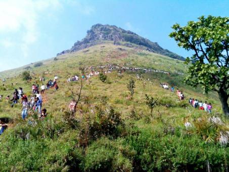 4 Day Trip to Chikmagalur from Bengaluru