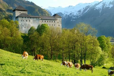 7 Day Trip to Zell am see from Frankfurt Am Main