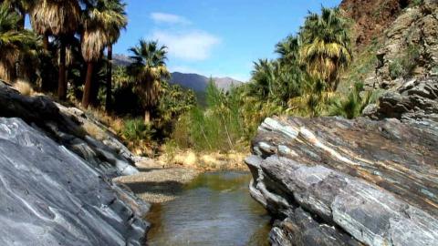 4 Day Trip to Palm Springs from Boca Raton