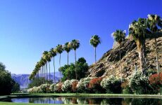  Day Trip to palm springs