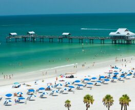 6 Day Trip to Clearwater from Detroit