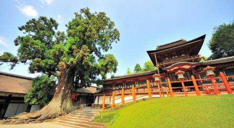 7 Day Trip to Nara from KUL