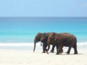 4 days Trip to Havelock island from Jorhat