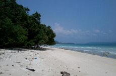 7 Day Trip to Port blair, Havelock island, Neil island from Bangalore