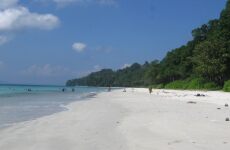5 Day Trip to Port blair, Havelock island from Pune