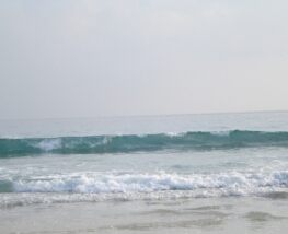 4 days Trip to Havelock island from Indore