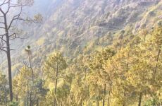  Day Trip to Kasauli from Solan