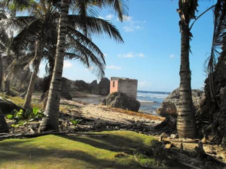 3 Day Trip to Bathsheba from Fairfield