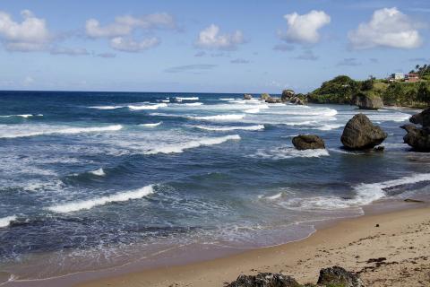 3 Day Trip to Bathsheba from Fairfield