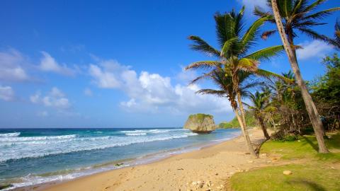 8 Day Trip to Bathsheba from Los Angeles